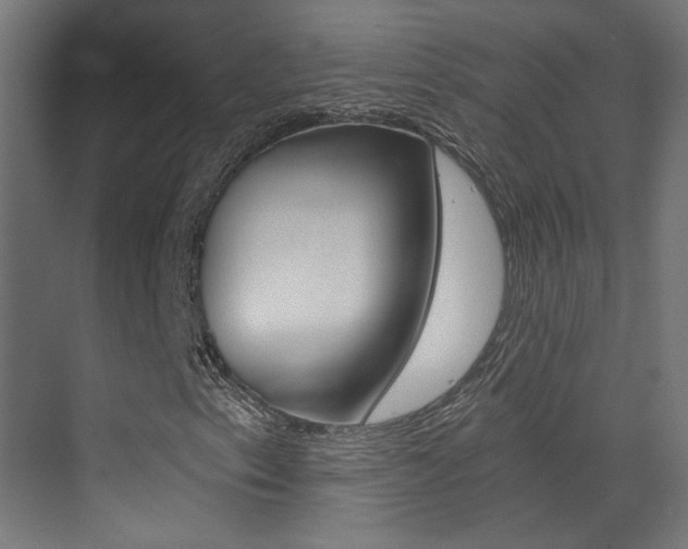 X0000073471153200607281051