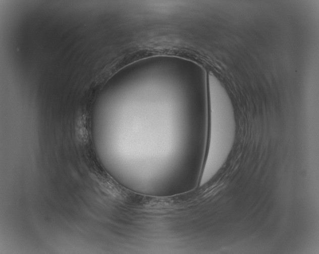 X0000073471156200607281051