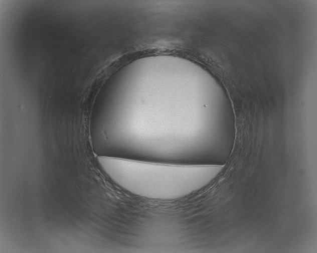 X0000073471158200607281051