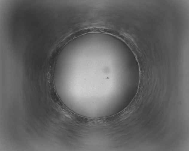 X0000073471159200607281051
