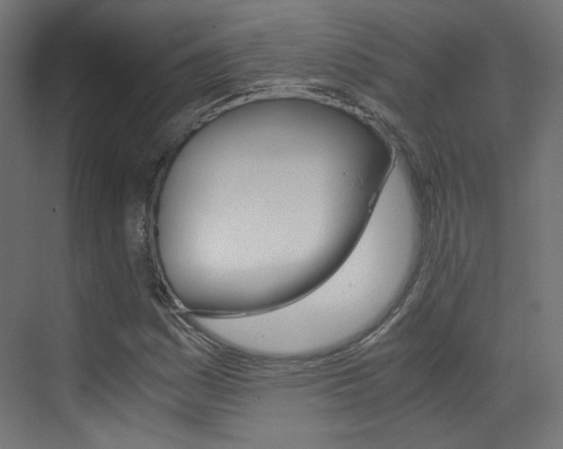 X0000073471161200607281051