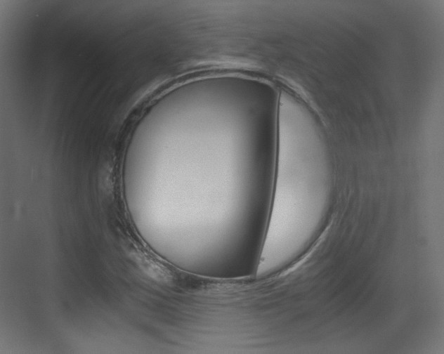 X0000073471163200607281051