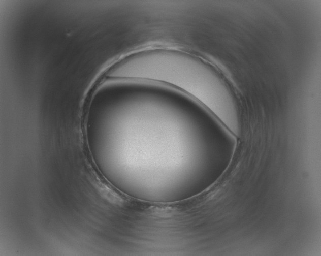 X0000073471168200607281051