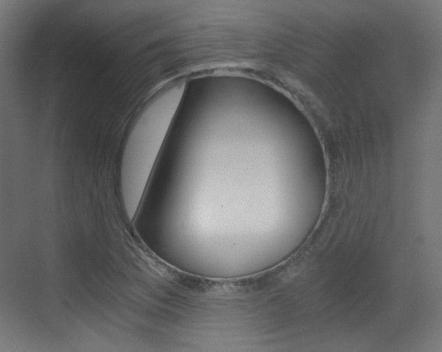 X0000073471169200607281051