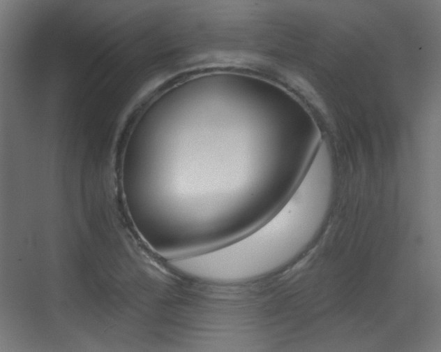 X0000073471172200607281051
