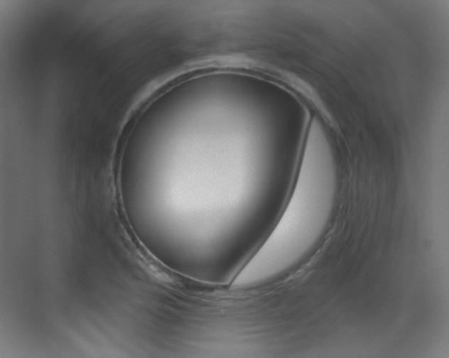 X0000073471176200607281051