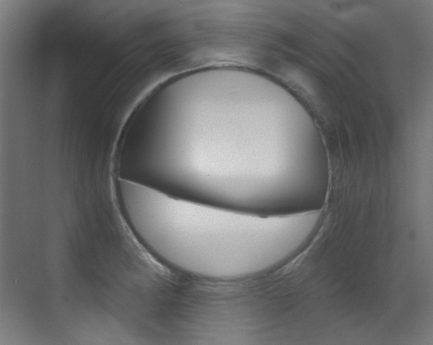 X0000073471182200607281051