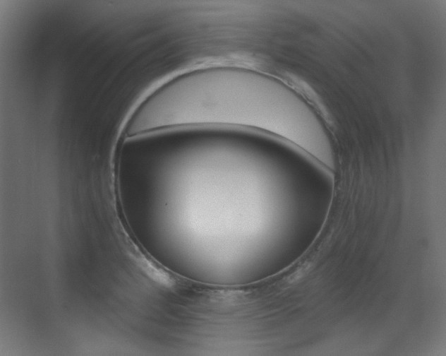 X0000073471184200607281051