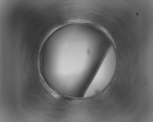 X0000073471187200607281051