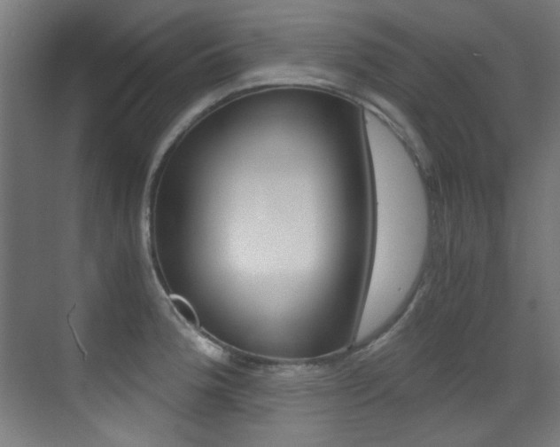 X0000073471188200607281051