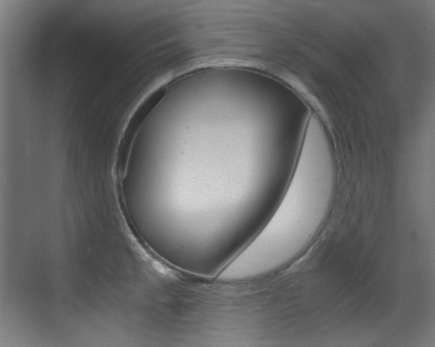 X0000073471189200607281051