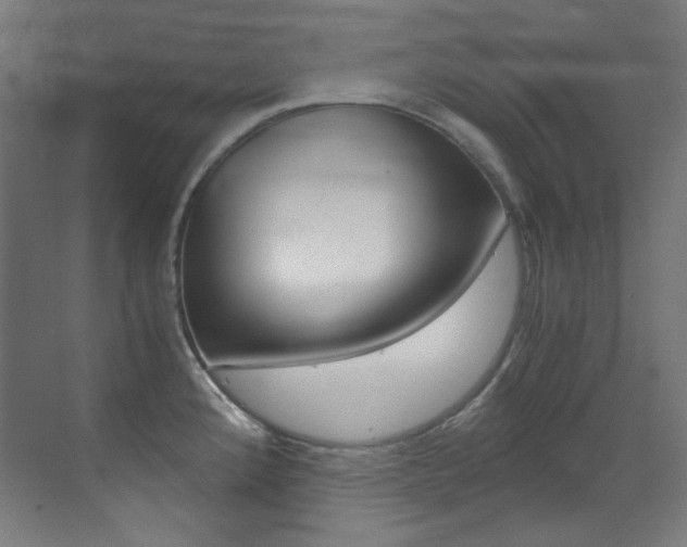 X0000073471192200607281051