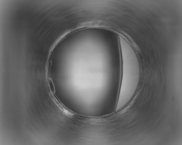 X0000073471196200607281051
