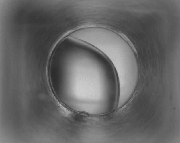 X0000073471197200607281051