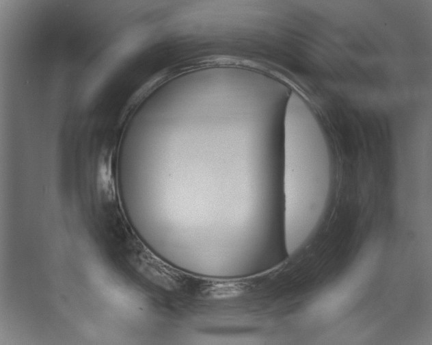 X0000073471198200607281051