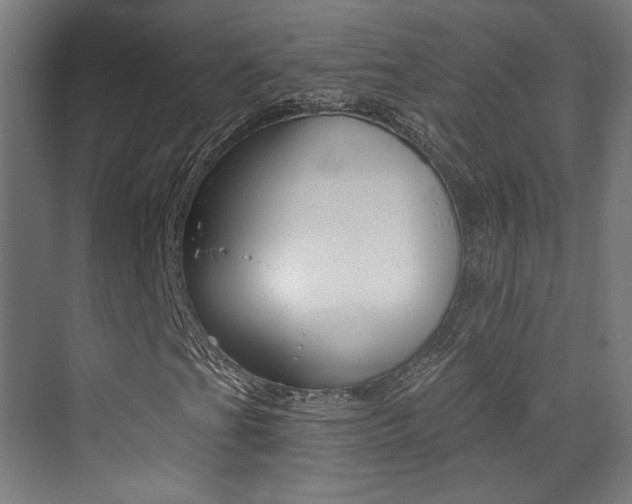 X0000073471201200607281050