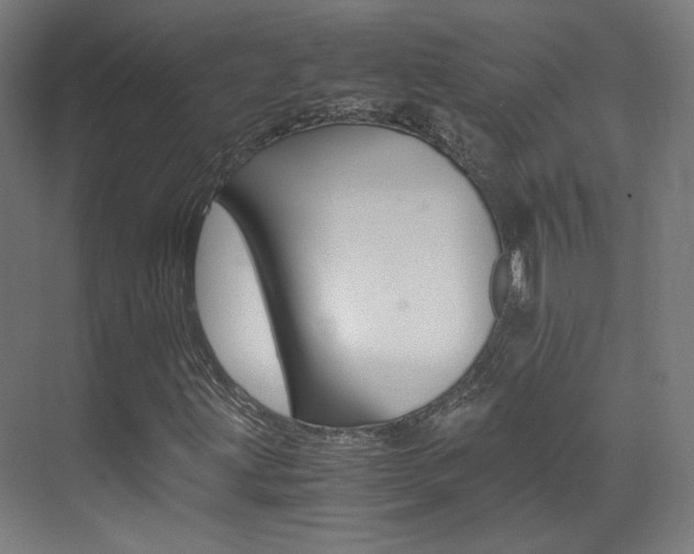 X0000073471203200607281050