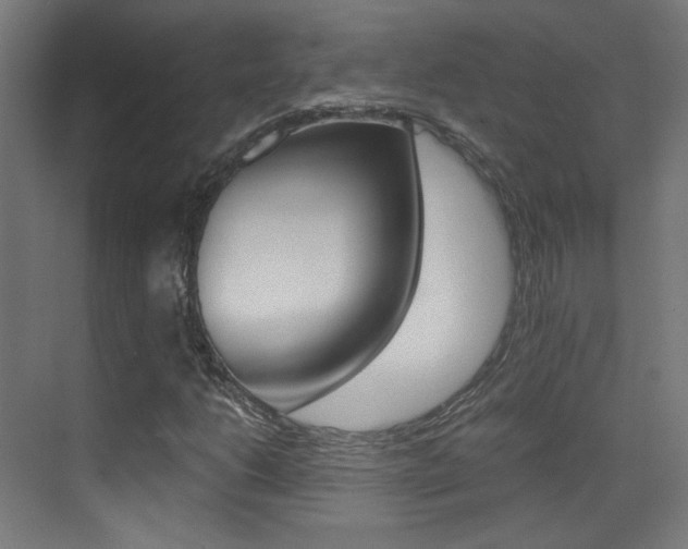 X0000073471206200607281050