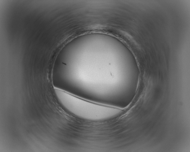 X0000073471209200607281050
