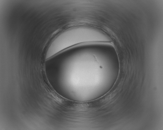 X0000073471210200607281050