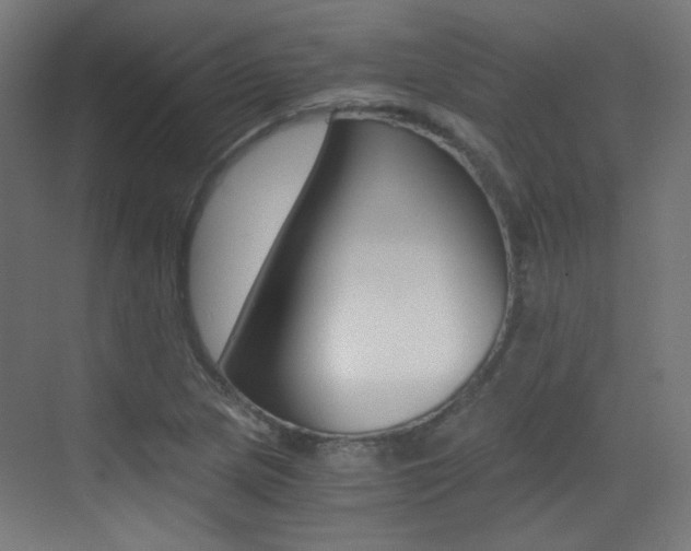 X0000073471217200607281050