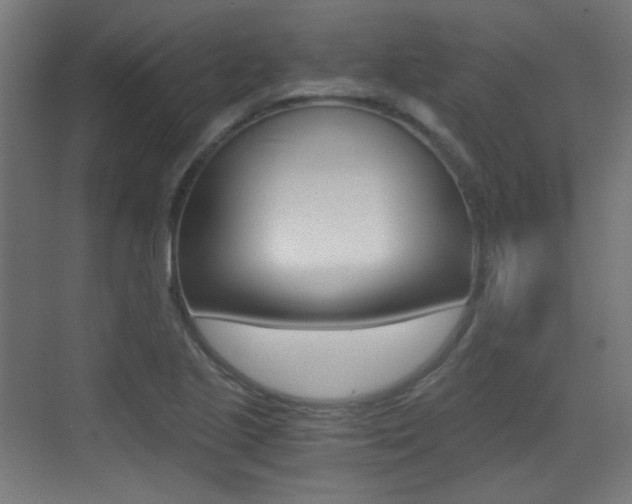 X0000073471221200607281050
