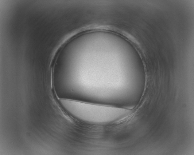 X0000073471223200607281050