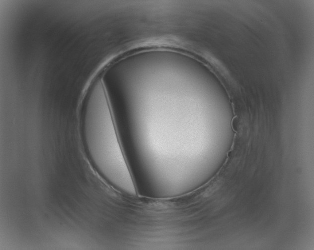 X0000073471224200607281050