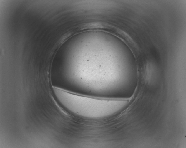 X0000073471225200607281050