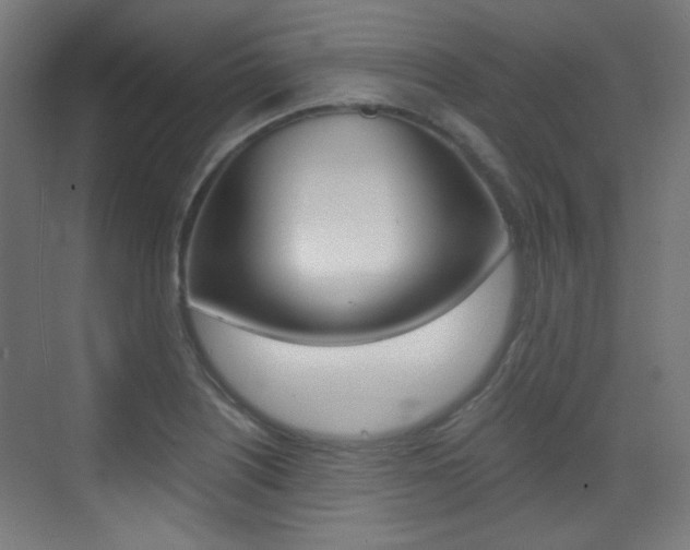 X0000073471226200607281050