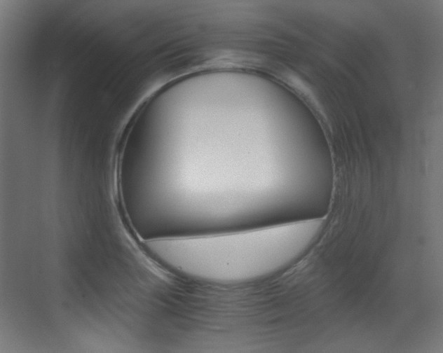 X0000073471227200607281050