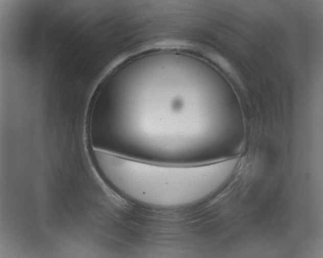 X0000073471229200607281050