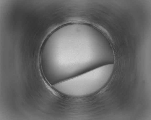 X0000073471231200607281050