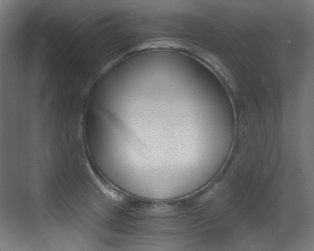 X0000073471233200607281050