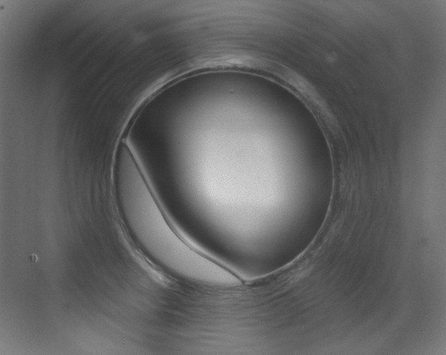 X0000073471234200607281050