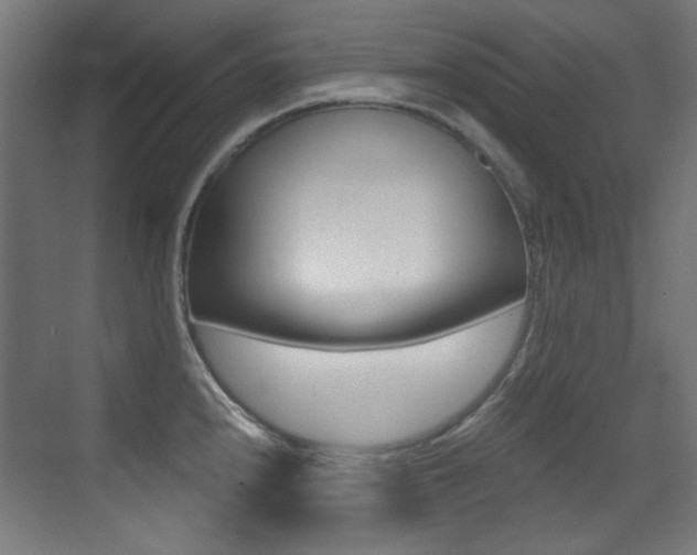 X0000073471240200607281050