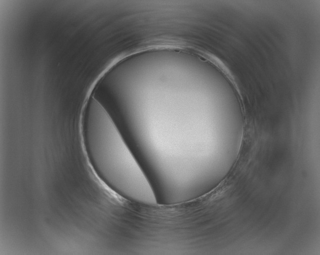 X0000073471243200607281050