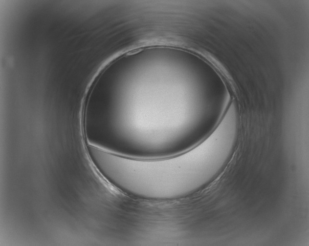 X0000073471246200607281050