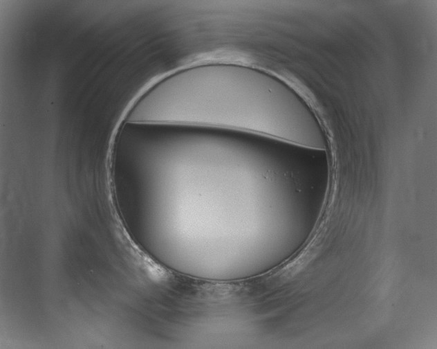 X0000073471248200607281050