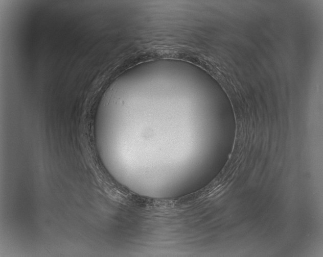 X0000073471249200607281050