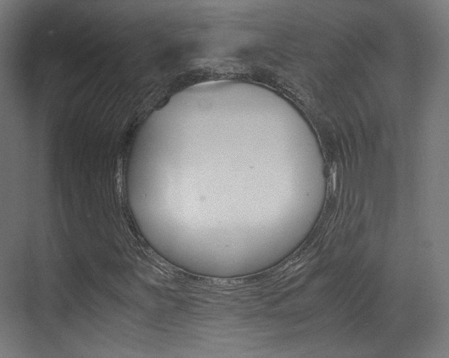 X0000073471251200607281050