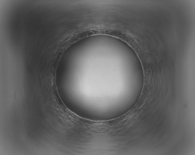 X0000073471253200607281050