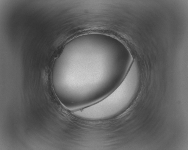 X0000073471257200607281050