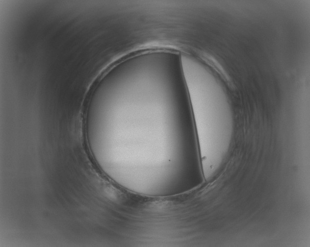 X0000073471268200607281049