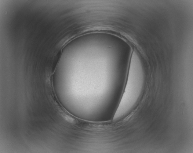 X0000073471273200607281049