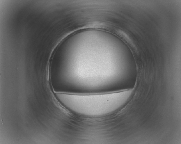 X0000073471276200607281049