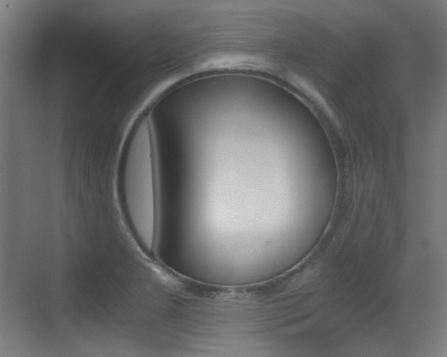 X0000073471277200607281049