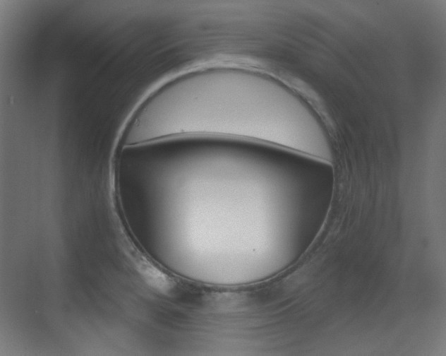 X0000073471280200607281049