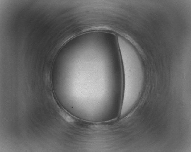 X0000073471281200607281049