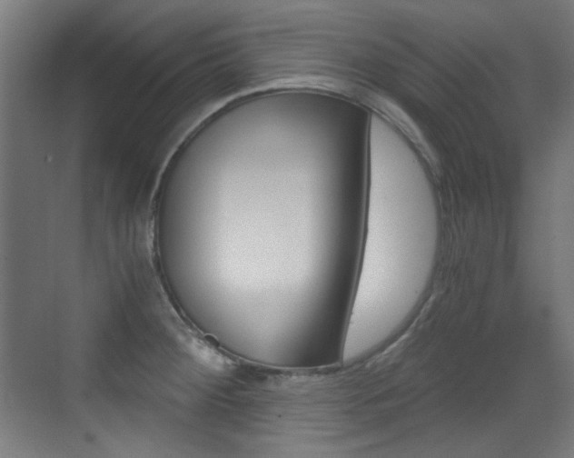 X0000073471284200607281049